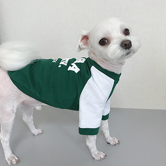 강아지이화티셔츠