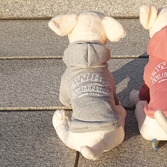 강아지후드티기모(그레이)