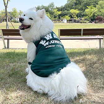 이화강아지티(중대형견)