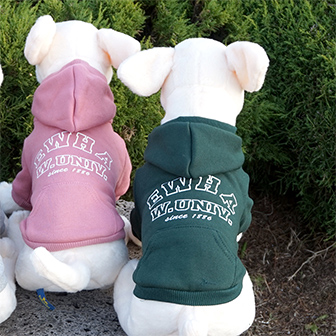 강아지후드티기모(그린)