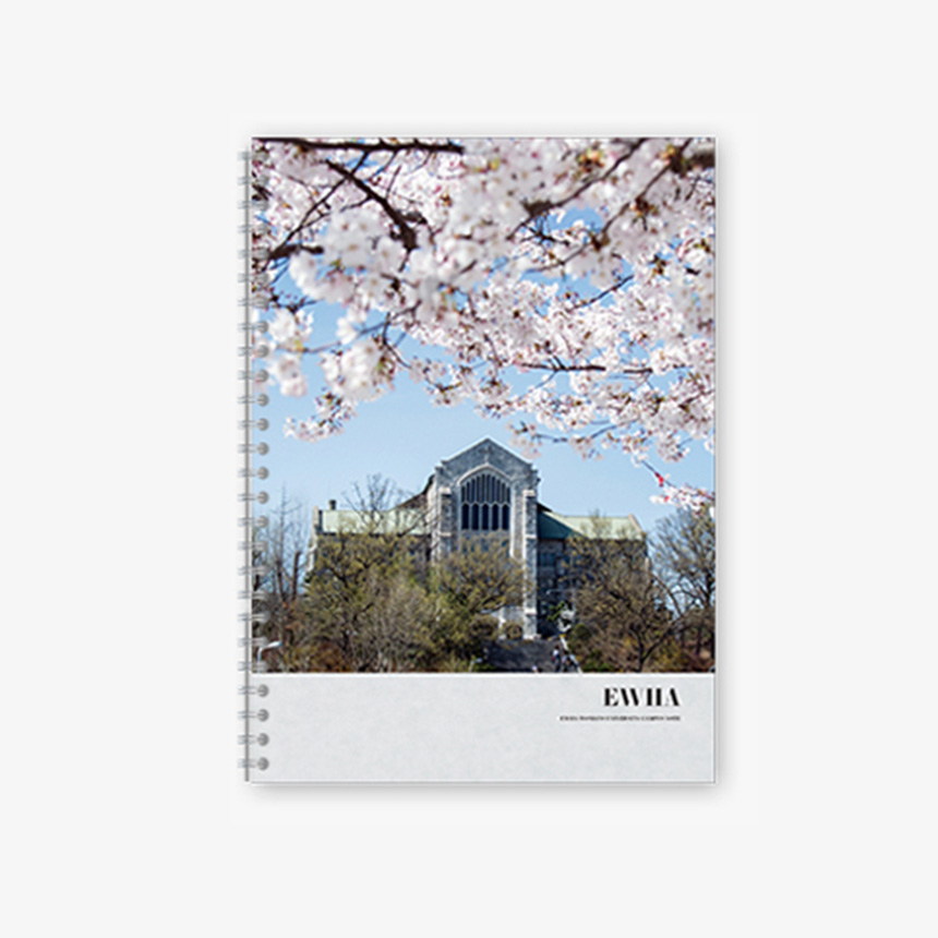 이화캠퍼스중강당벚꽃