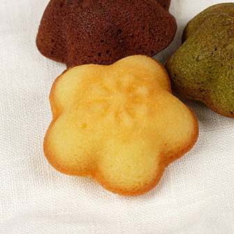 배꽃마들렌플레인