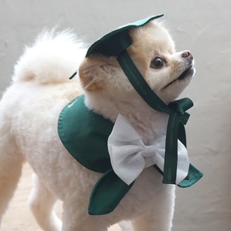 강아지학사모케이프