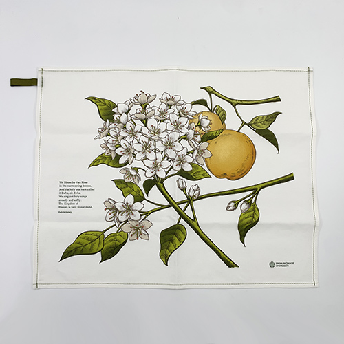 배꽃키친크로스